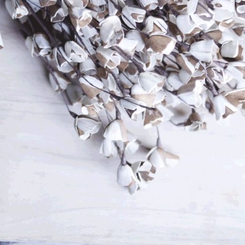 Sola Wood Skin Lily Flower Stick