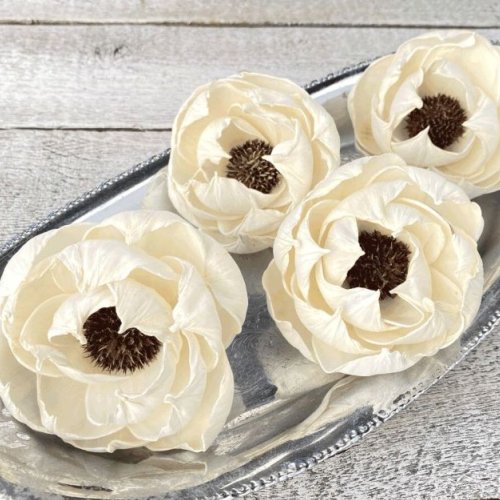 Tecksoi Black Pearl Sola Wood Flower