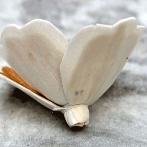 Tecksoi Hana Sola Wood Flower