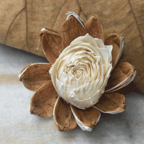 Tecksoi Ivy Sola Wood Flower