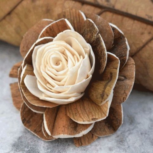 Tecksoi Jarred Sola Wood Flower