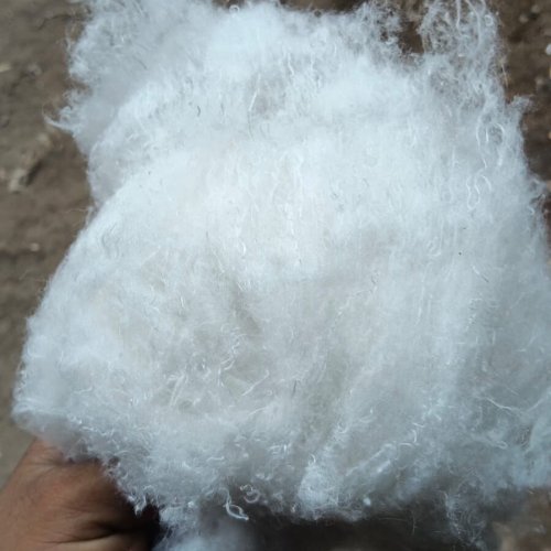 Recycled Polyester Fiber