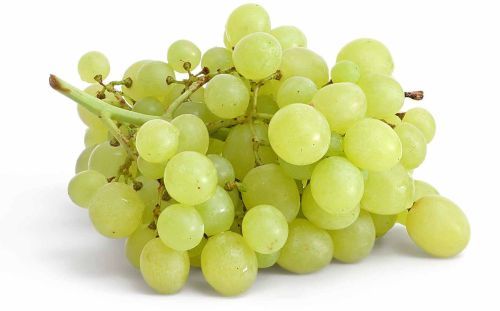 A Grade Fresh Green Grape