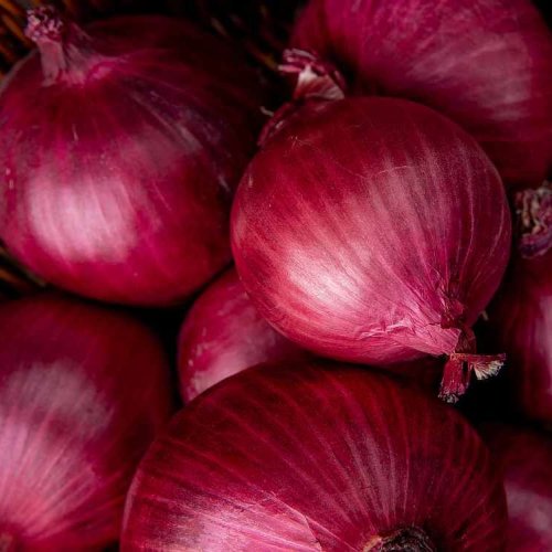 A Grade Fresh Red Onion