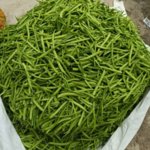 A Grade Cluster Bean