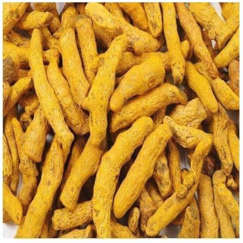 Madras Finger Turmeric