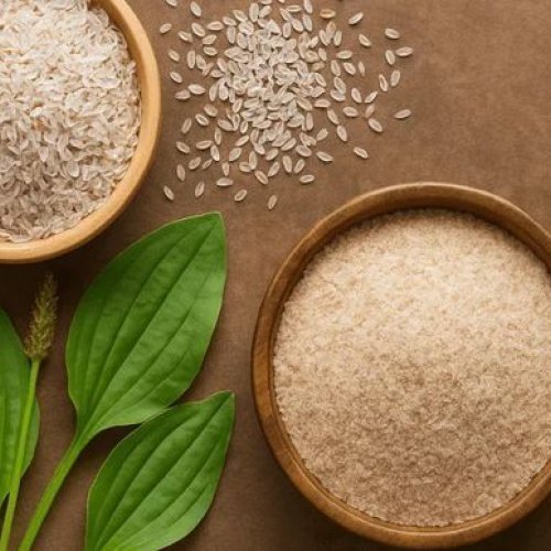 Premium Quality Isabgol Powder