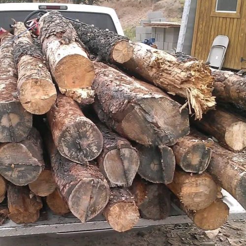 Papdi Wood Logs