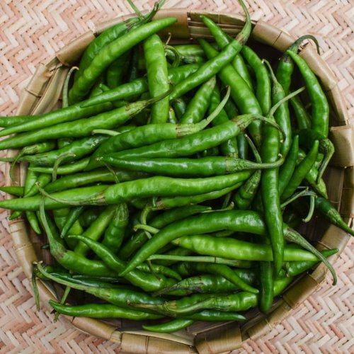 Fresh Green Chilli