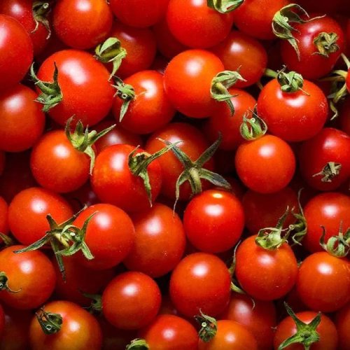 Fresh Red Tomato