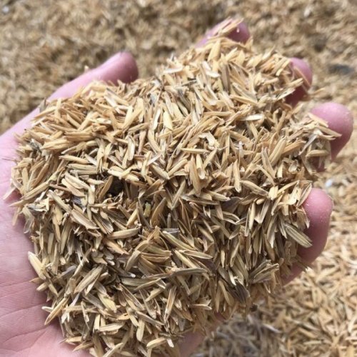 rice husk