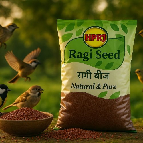 Birdie\'S 1kg Ragi Seeds
