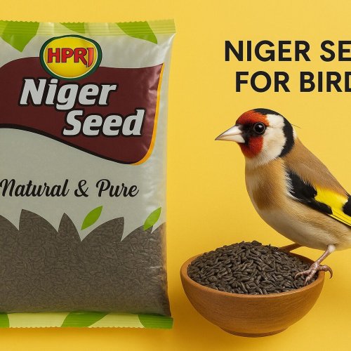 1kg Niger Seeds
