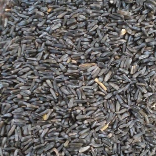 Hprj Niger Seeds