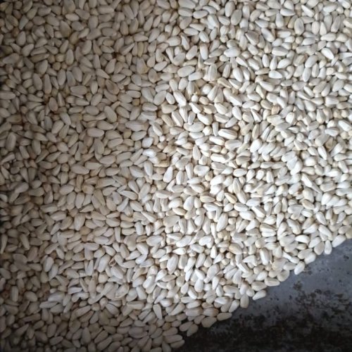 Hprj Safflower Seeds