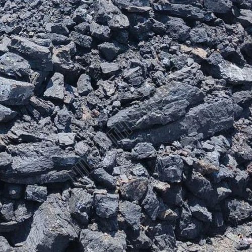 Thangadh Carbonaceous Shale Coal