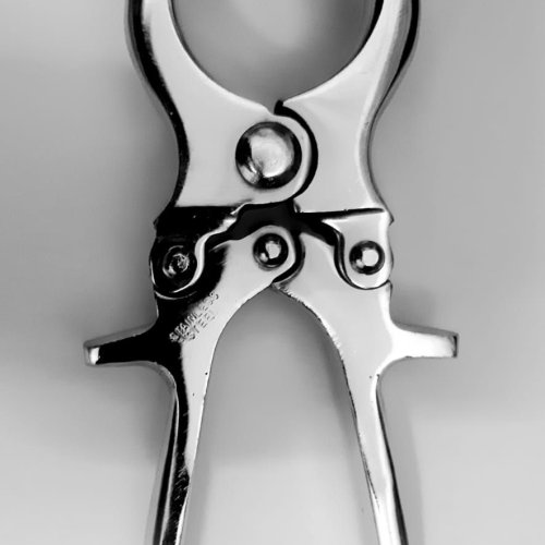 Burdizzo Castrator for Small Animals