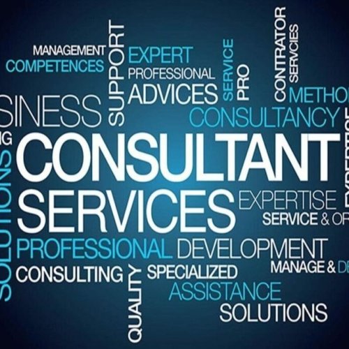 Consulting Services