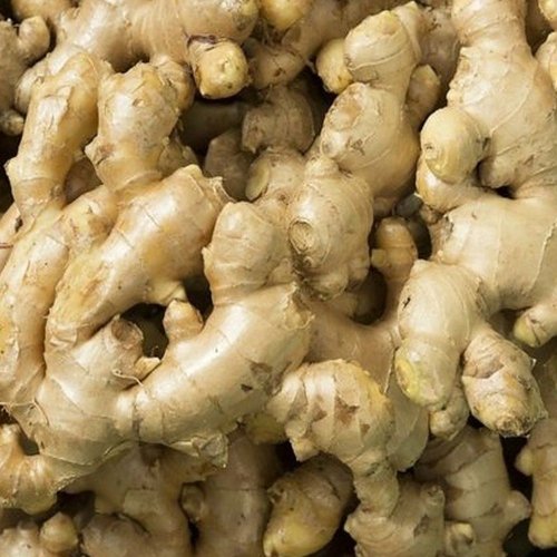 Fresh Ginger