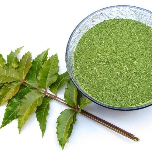 Organic Neem Powder