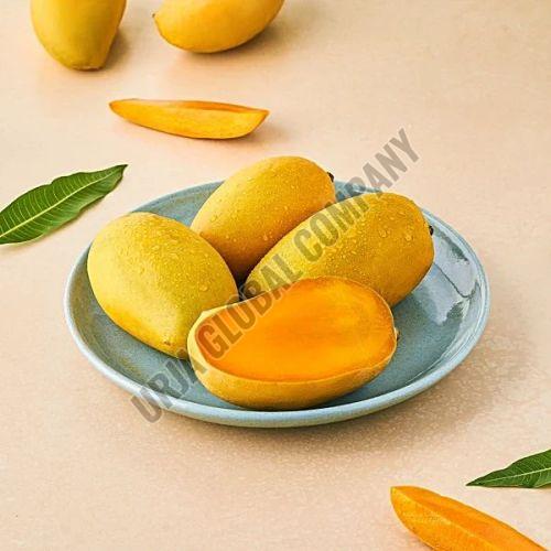 Fresh Kesar Mango