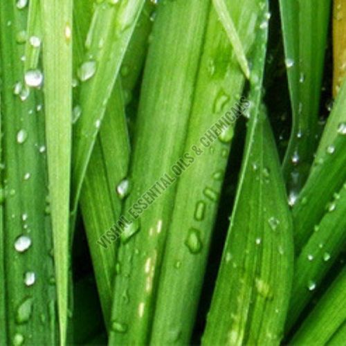 Natural CIS 3 Hexanol