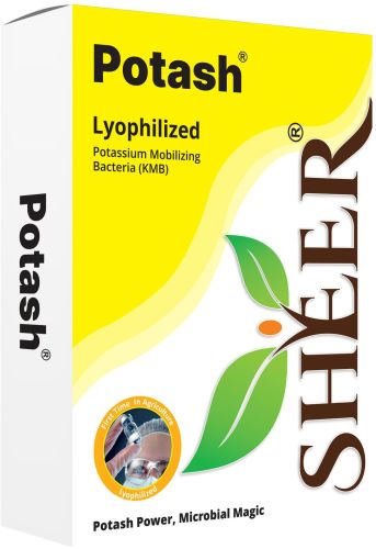 250gm Potash Mobilizing Bio Fertilizer