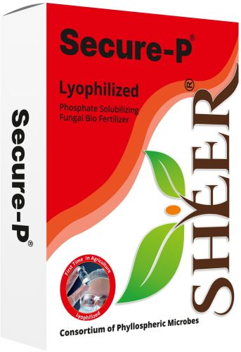 Secure-P Lyophilized Phosphate Solubilizing Fungal Bio Fertilizer