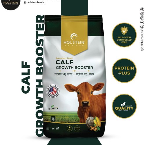 Holstein Calf Growth Booster &AMP;ndash; Best Organic Calf Growth Cattle Feed