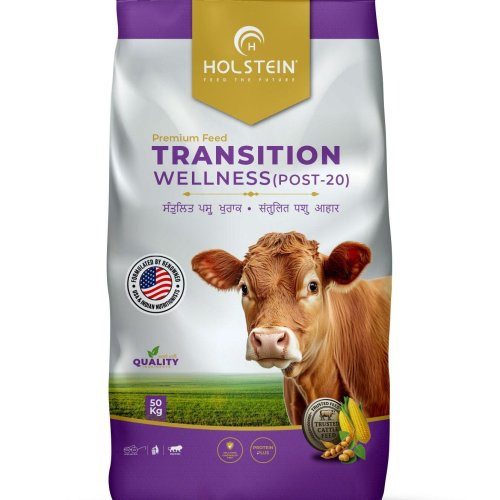 Holstein Transition Wellness (Post-20) Best Transition Cow Cattle Feed