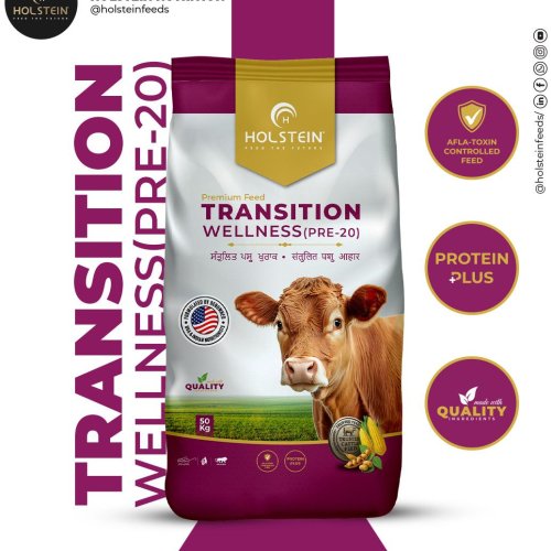 Holstein Transition Wellness (Pre-20) Premium Transition Cattle Feeds