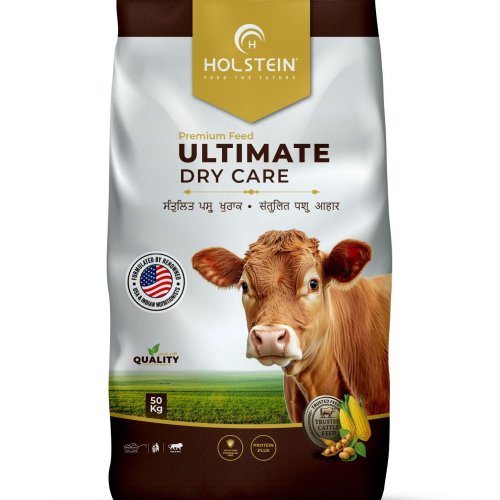 Holstein Ultimate Dry Care For Dry Cow Feed