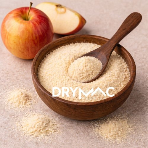 Spray Dried Apple Fruit Powder
