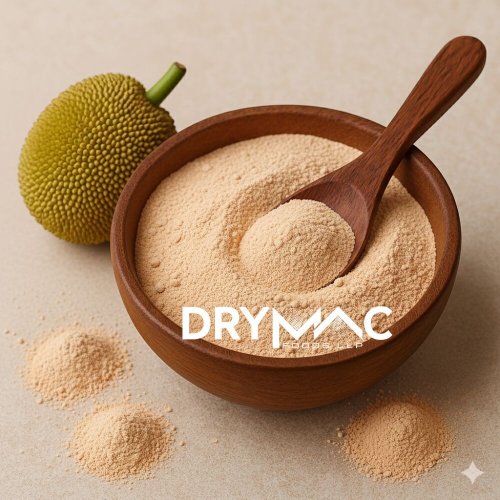 spray dried jackfruit powder