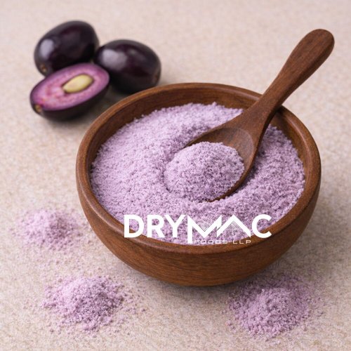 Spray Dried Jamun Powder