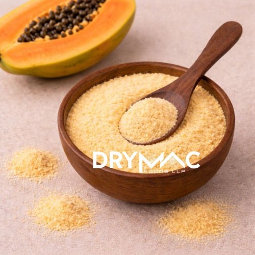 Spray Dried Papaya Powder
