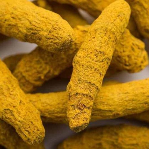 Double Polished Turmeric Finger