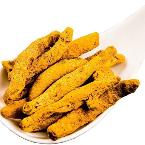 Curcuma Longa Turmeric Finger