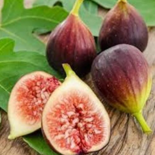 Fresh Soft Figs