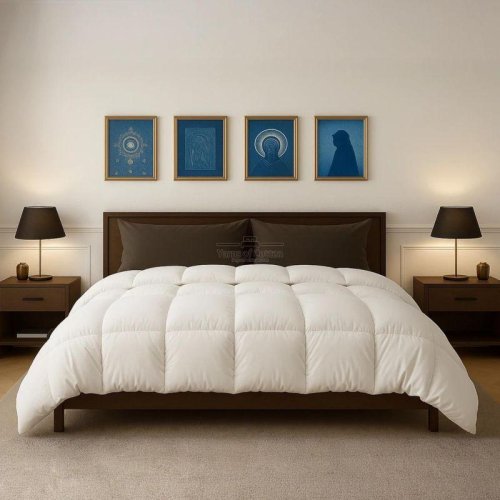 Dorm Room Bed Comforter