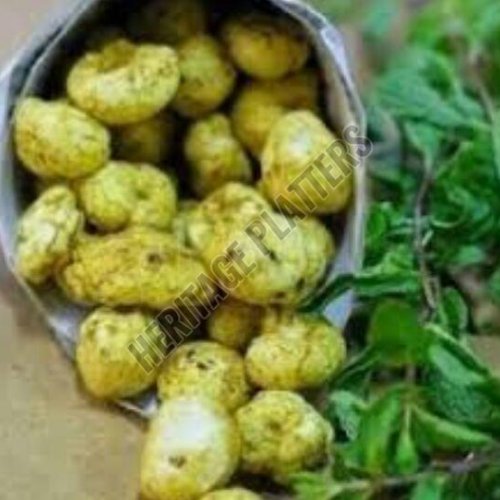 Herb & Garlic Makhana Herb & Garlic Makhana