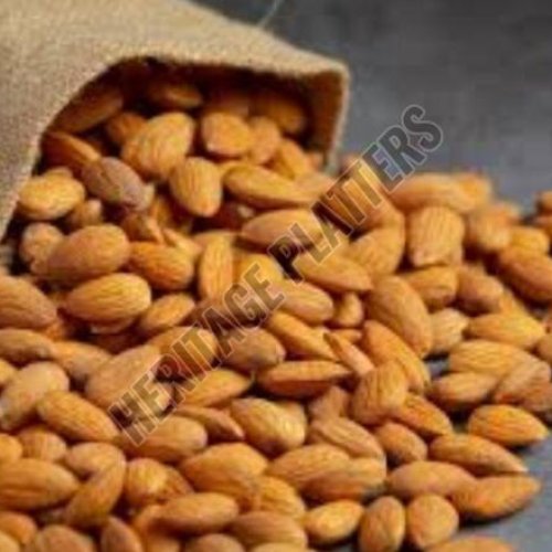 Premium Almond Nuts