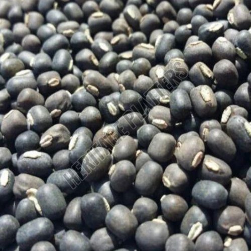 Whole Urad Dal