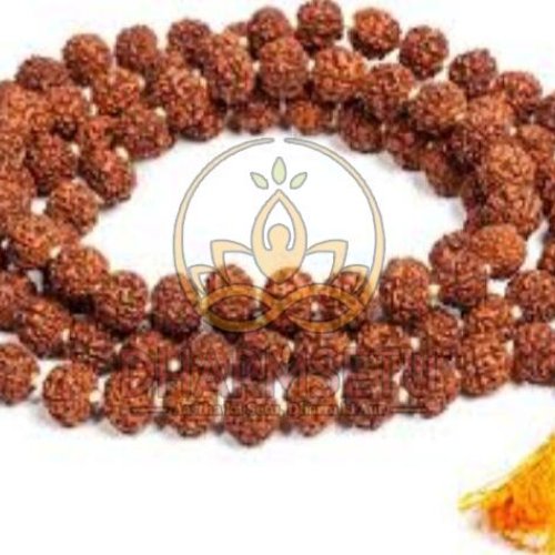 Big Rudraksha Mala