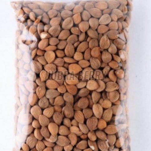 Apricot Kernels