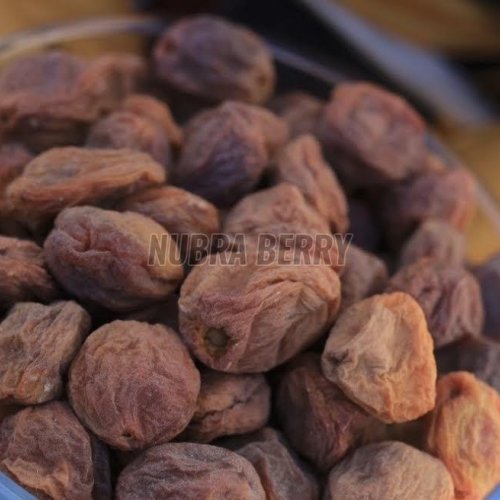 Dried Apricot