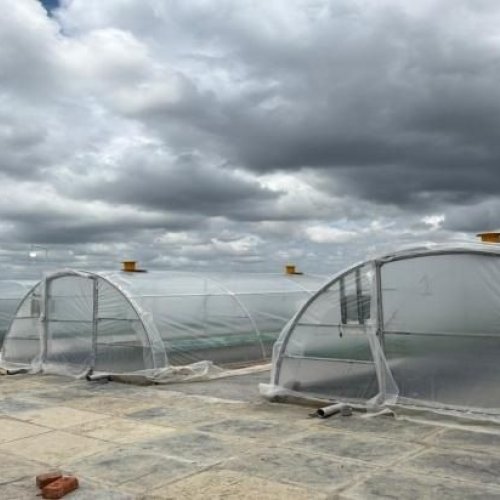Solar Tunnel Dryer