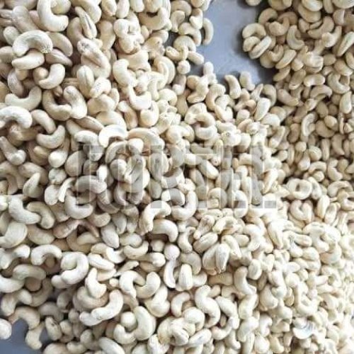 Fresh Shelled Cashew Nuts