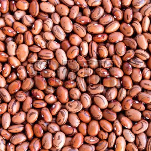Premium Grade Pinto Beans Bulk Supply