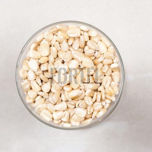 Top-Quality White Maize Corn - Ideal For Export &AMP;AMP; Nutrient-Dense Food Products